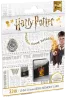 microSD UHS-I U1 Harry Potter Gryffindor 32Gb pack